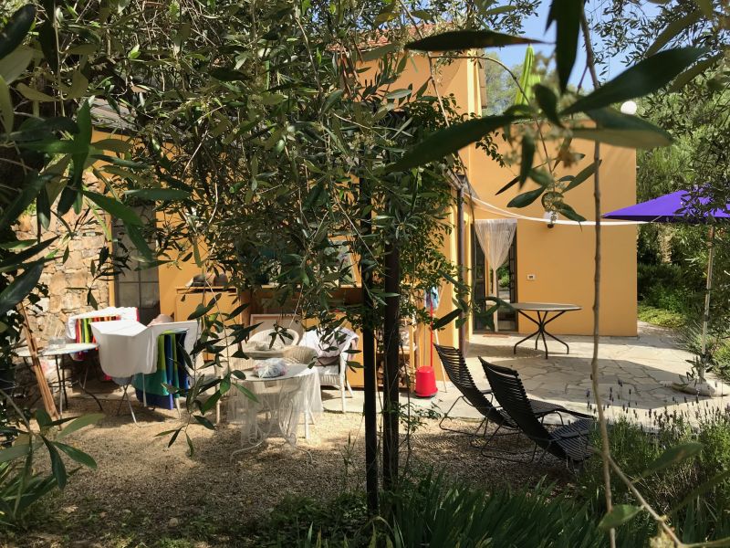 Romantisches Haus Im Olivenhain Immobilien